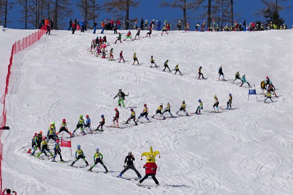 Pokus o rekord               FOTO: BILLA