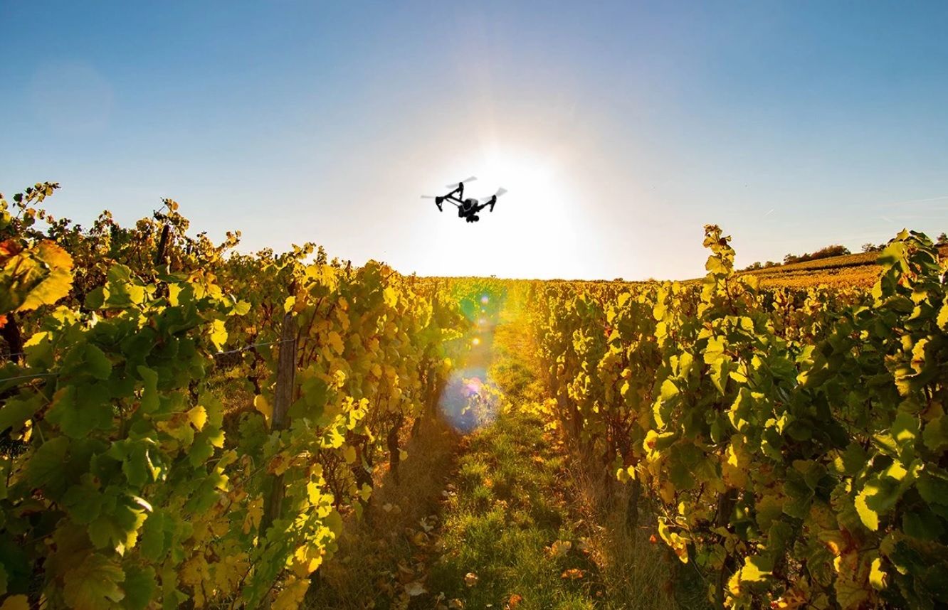 Foto: Slovenská sporiteľňa