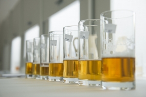 Ktor&eacute; s&uacute; najlep&scaron;ie slovensk&eacute; piv&aacute;? Tu s&uacute; v&yacute;sledky degust&aacute;cie