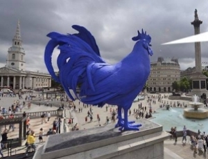 Modr&yacute; koh&uacute;tik sa vracia, hľad&aacute; kuriatka