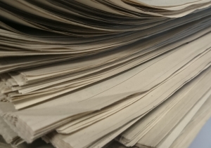 Kto s&uacute; vlastn&iacute;ci denn&iacute;kov v Česku?