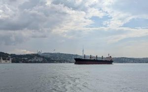 Cenu investigat&iacute;vnej novin&aacute;rky Daphne Caruany Galizie z&iacute;skal projekt o ruskej tieňovej flotile