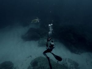 Kampaň J&amp;T Banky vych&aacute;dza z podmorsk&yacute;ch diel &uacute;spe&scaron;nej fotografky (VIDEO)