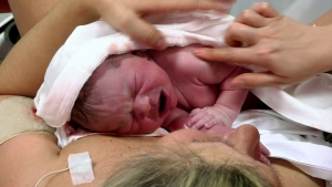 Takto to vyzer&aacute; v z&aacute;kulis&iacute; reality &scaron;ou Mal&eacute; l&aacute;sky, ktor&aacute; prin&aacute;&scaron;a p&ocirc;rody v priamom prenose (FOTO, VIDEO)