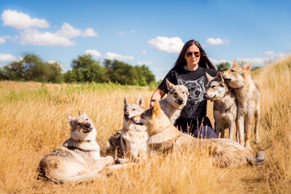 Prv&eacute; epiz&oacute;dy seri&aacute;lu Vlci pritiahli pozornosť div&aacute;kov