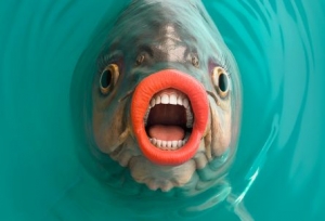 Mall.sk prich&aacute;dza s vianočnou kampaňou vo v&yacute;raznom predstihu (VIDEO)