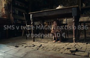 Slovensk&aacute; sporiteľňa zak&uacute;pen&yacute; reklamn&yacute; priestor poskytla na zbierku, z&aacute;roveň pon&uacute;ka pr&aacute;cu ľuďom z Ukrajiny