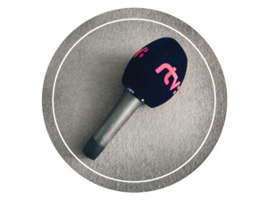 Koment&aacute;r Miroslavy Kernovej: Naozaj chcete poslať do RTVS Rezn&iacute;ka?