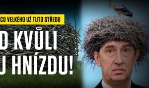 Bleskově.cz m&aacute; po prvom mesiaci viac ako tri&scaron;tvrte mili&oacute;na n&aacute;v&scaron;tevn&iacute;kov