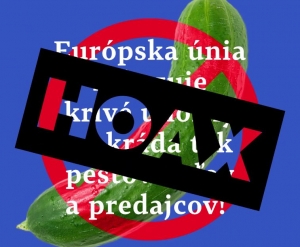 Z&aacute;kaz kebabu, hranoliek, fotiek, bal&oacute;nov... Čo v&scaron;etko v&aacute;m chcel Brusel zak&aacute;zať? Pozrite si 10 m&yacute;tov spojen&yacute;ch s E&Uacute;
