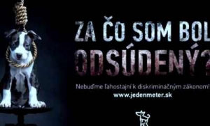 Hr&iacute;bova Lampa mus&iacute; ustupovať futbalu