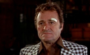 Zomrel herec Dick Miller, hral v Termin&aacute;torovi či Pulp Fiction (VIDEO)