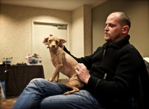 RTVS m&aacute; nov&eacute;ho &scaron;&eacute;fa kreat&iacute;vy