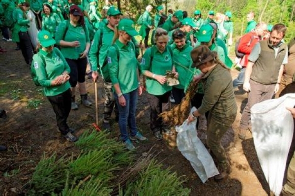 V Lidl lese rastie už 870 000 stromčekov