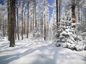 Denník N je novým majiteľom webu Hiking.sk a turistickamapa.sk