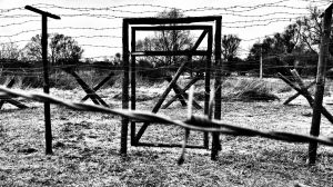 Slov&aacute;ci a Slovenky v&yacute;znam &scaron;t&aacute;tnych sviatkov s&iacute;ce poznaj&uacute;, no tr&aacute;via ich prevažne pas&iacute;vne. 365.bank pl&aacute;nuje sviatok 17. november premeniť na deň zmyslupln&yacute;ch aktiv&iacute;t