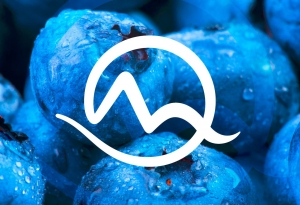 Podľa neobvykl&eacute;ho čl&aacute;nku sa vraj pred&aacute;va Mark&iacute;za a Nova