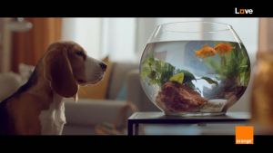 Orange m&aacute; prv&uacute; kampaň z dielne novej reklamnej agent&uacute;ry Elite / Monday Lovers (VIDEO)