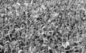 Pozor podvod: P&aacute;r hod&iacute;n pred voľbami sa &scaron;&iacute;ri falo&scaron;n&yacute; prieskum verejnej mienky