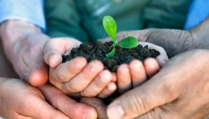 Grant #mamnato: Nad&aacute;cia Slovenskej sporiteľne rozdelila 250 tis&iacute;c eur