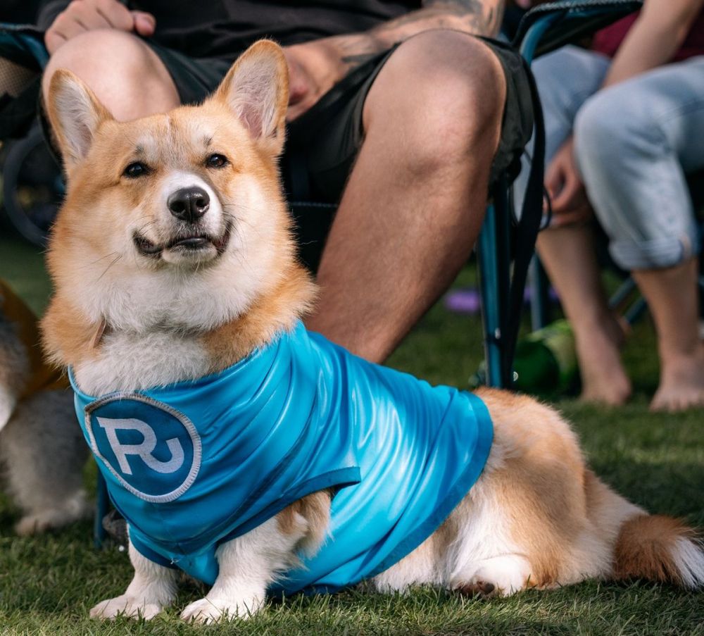 Cestovanie s&nbsp;Radosťou bude e&scaron;te lep&scaron;ie. Oper&aacute;tor v&nbsp;appke prin&aacute;&scaron;a nov&yacute; roaming