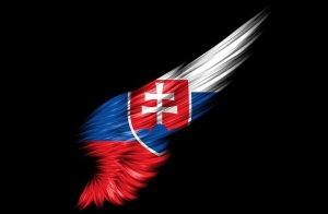 Kon&scaron;piračn&aacute; str&aacute;nka IdemVolit.sk je prepojen&aacute; na lek&aacute;ra z Považskej Bystrice