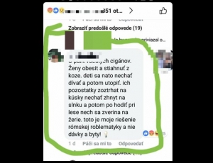 Nen&aacute;vistn&yacute;m koment&aacute;rom o obesen&iacute; a up&aacute;len&iacute; R&oacute;mov sa začala zaoberať NAKA