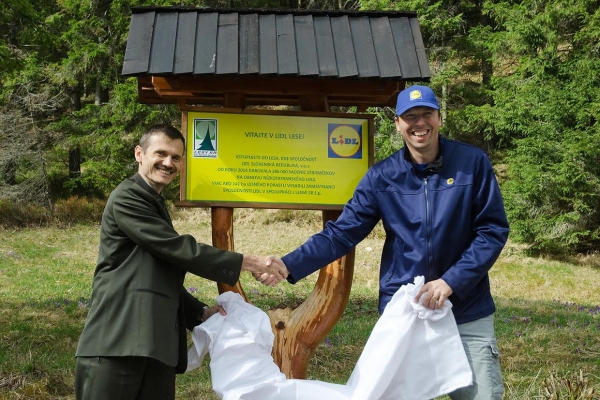 V Lidl lese rastie už 500 000 stromčekov