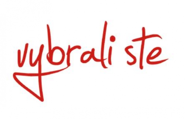 Posledn&yacute; križiak spustil ďal&scaron;&iacute; web &ndash; vybraliste.sk