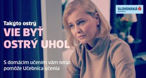 Rodičom pri dom&aacute;com učen&iacute; det&iacute; pom&ocirc;že nov&aacute; Učebnica učenia. Pripravila ju Slovensk&aacute; sporiteľňa s t&iacute;mom expertov  (VIDEO)