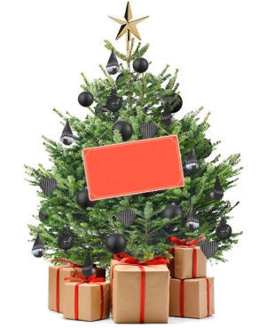 IKEA: Vr&aacute;time v&aacute;m 10 &euro; za vianočn&yacute; stromček!