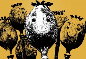 Ako meniť veci k lep&scaron;iemu? Dajme priestor in&scaron;pirat&iacute;vnym mlad&yacute;m ľuďom už dnes