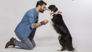 JOJ prich&aacute;dza s nov&yacute;m seri&aacute;lom Bodka, JOJ ho avizovala už pred dvoma rokmi (VIDEO)