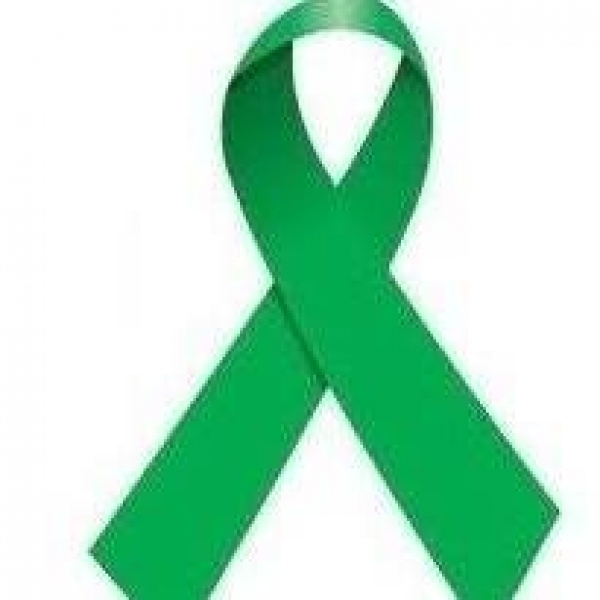 Iniciat&iacute;va Zelen&aacute; stužka - Rodičia podporuj&uacute; učiteľov sa roz&scaron;iruje