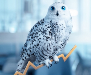 Novou tv&aacute;rou ČSOB je pol&aacute;rna sova Ute