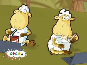 Projekt Ovce.sk sa ocitol medzi najlep&scaron;&iacute;mi