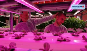 Slovensk&aacute; sporiteľňa pokračuje v kampani Bud&uacute;cnosť na Slovensku. Cieli na podnikateľky a podnikateľov (VIDEO)