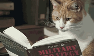 8 emočn&yacute;ch f&aacute;z, keď sa rozhodujete pre online banku 