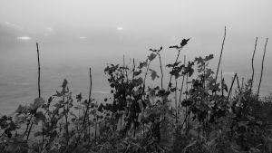 Zomrela herečka Switov&aacute;, majorka Houlihanov&aacute; zo seri&aacute;lu M.A.S.H. (VIDEO)