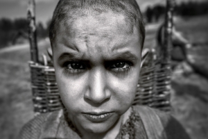 Film Pomaľovan&eacute; vt&aacute;ča sa dostalo do v&yacute;beru hollywoodskych kritikov (VIDEO)