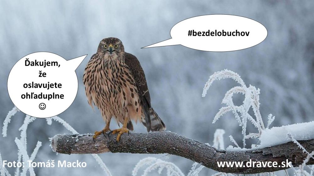 Oslavy nov&eacute;ho roka stresuj&uacute; vt&aacute;ctvo v dosahu niekoľk&yacute;ch kilometrov