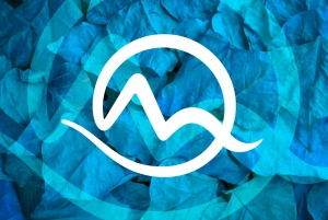 Mark&iacute;za požiadala o preverenie &uacute;čtovn&iacute;ctva spoločnost&iacute; Mariana Kočnera