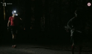 Pozrite sa, ako vyzeral osemhodinov&yacute; priamy prenos z nočn&eacute;ho lesa