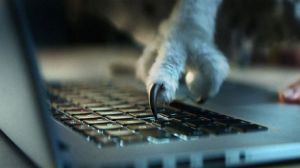 ČSOB ukazuje v reklame klientom, ako sa m&ocirc;žu predbehn&uacute;ť (VIDEO)