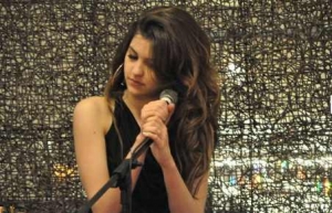 Slovensko na Eurov&iacute;zii v roku 2013 nebude