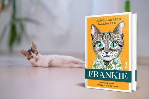 Z&aacute;bavn&yacute; a doj&iacute;mav&yacute; pr&iacute;beh nezbedn&eacute;ho koc&uacute;ra. Frankie