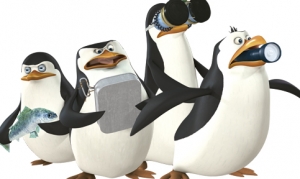 UPC m&aacute; p&auml;ť nov&yacute;ch stan&iacute;c 