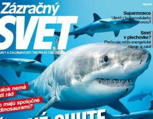 Spoločnosť 7 Plus konč&iacute; s jedn&yacute;m zo svojich časopisov