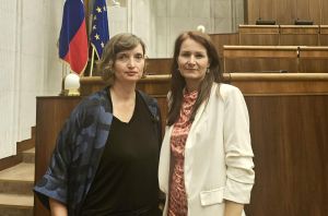 Poslankyne spustili pet&iacute;ciu: Povedzme nie ur&aacute;žkam a ponižovaniu žien