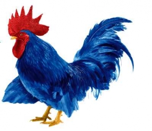 Vieme, kto je za Modr&yacute;m koh&uacute;tikom